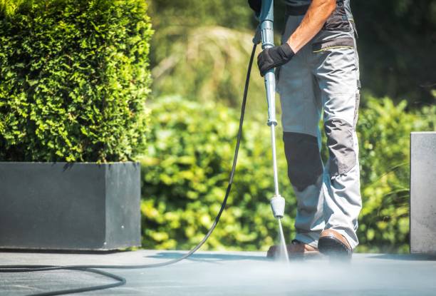 Best Animal Enclosure Cleaning  in Cadiz, OH